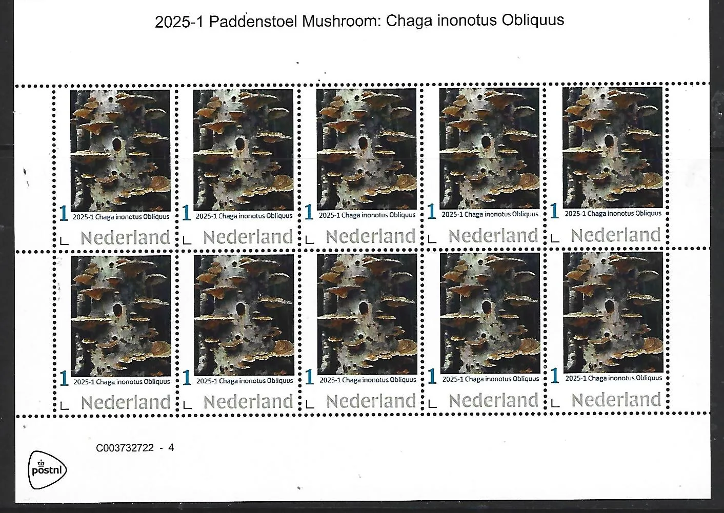 Nederland 2025-1 Paddenstoel Mushroom Chaga inonotus Obliquus sheet postfris/mnh