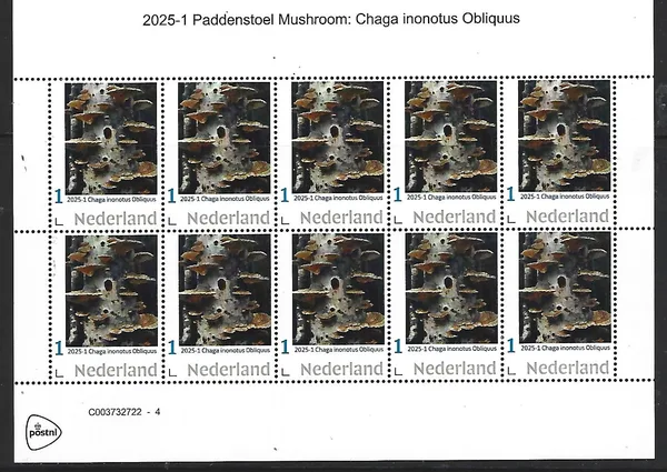 Nederland 2025-1 Paddenstoel Mushroom Chaga inonotus Obliquus sheet postfris/mnh