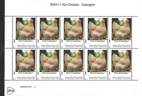 Nederland 2024-11 Kip -chicken: Orpington sheetlet postfris/mnh