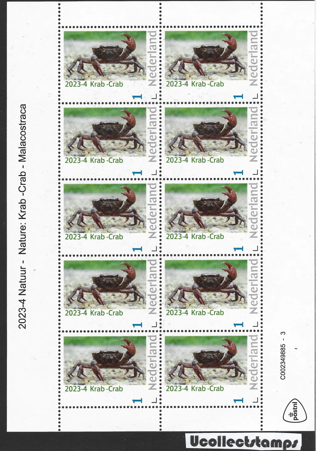 Niederlande 2023-4 Natur Krabbe - Crab Malcostraca vel-Bogen postfrisch/mnh