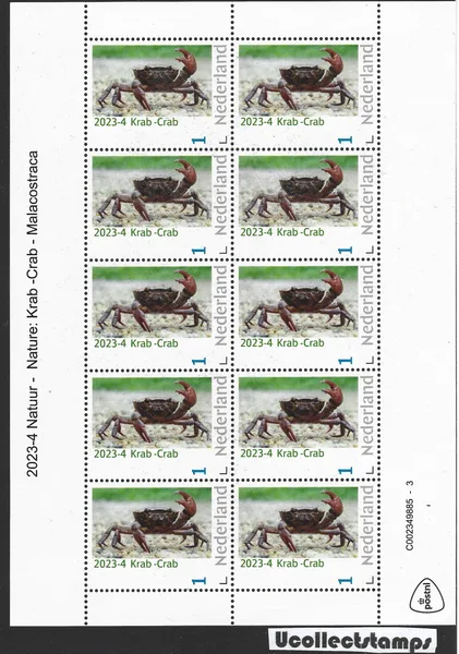 Netherlands 2023-4 Nature Crab Malcostraca vel-sheetlet MNH