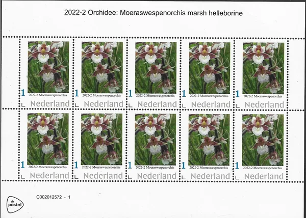 Netherlands 2022-2 Orchid Marsh Helleborine souvenir sheet MNH