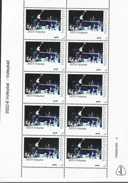 Netherlands 2022-6 Volleyball sheetlet MNH