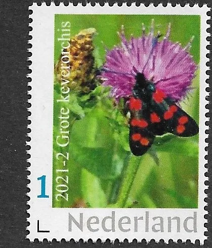 Netherlands 2021-2 Orchid large Keverorchis orchid MNH