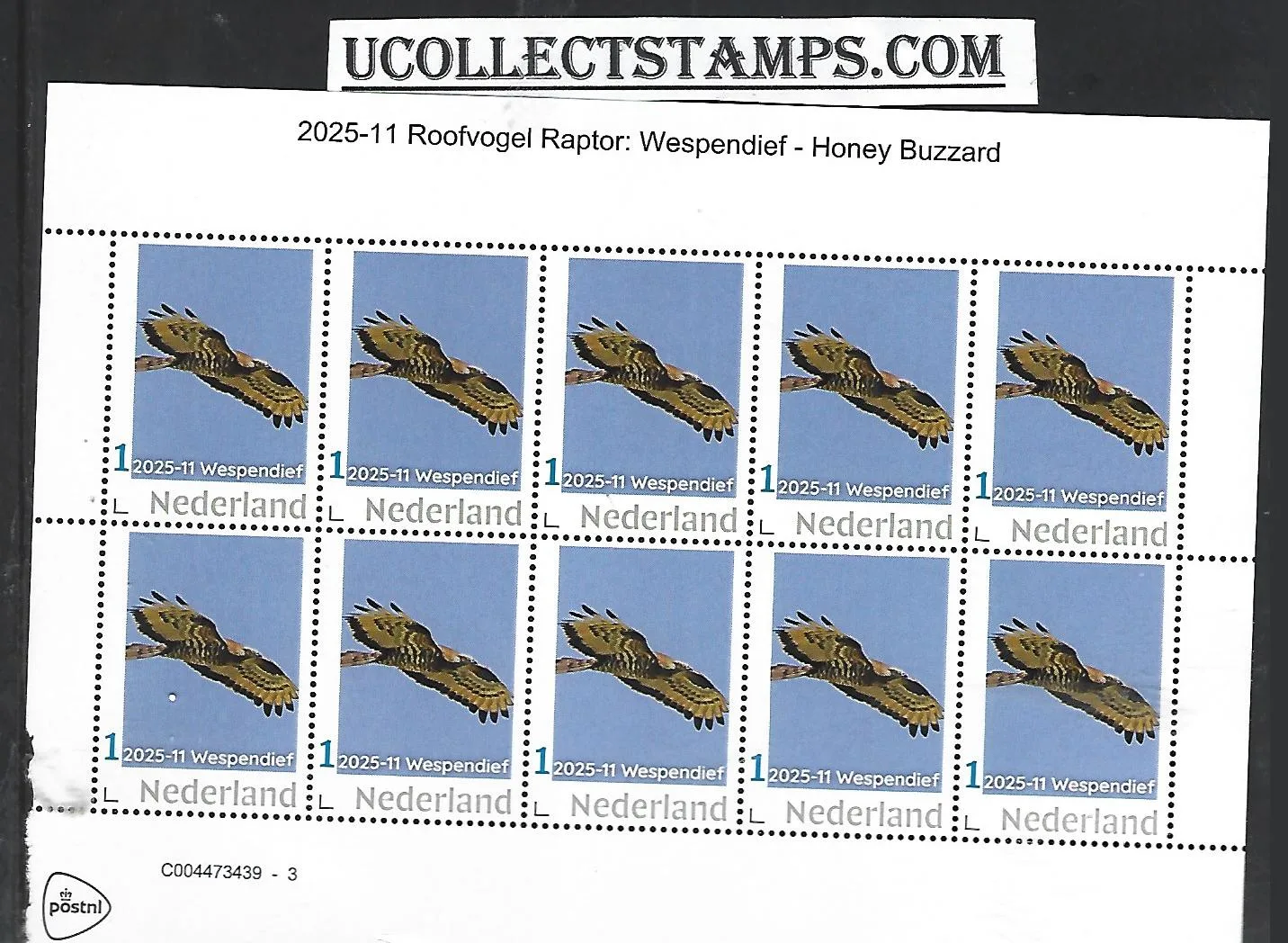 Nederland 2025-11 Roofvogel Raptor: Wespendief Buzzard sheet postfris/mnh