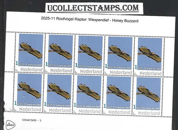 Nederland 2025-11 Roofvogel Raptor: Wespendief Buzzard sheet postfris/mnh