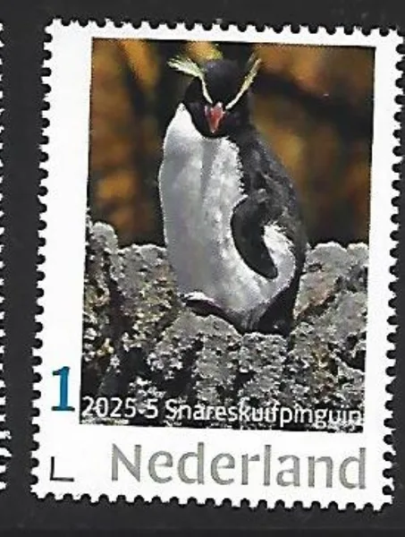 Netherlands 2025-5 Penguin: Snares Penguin MNH