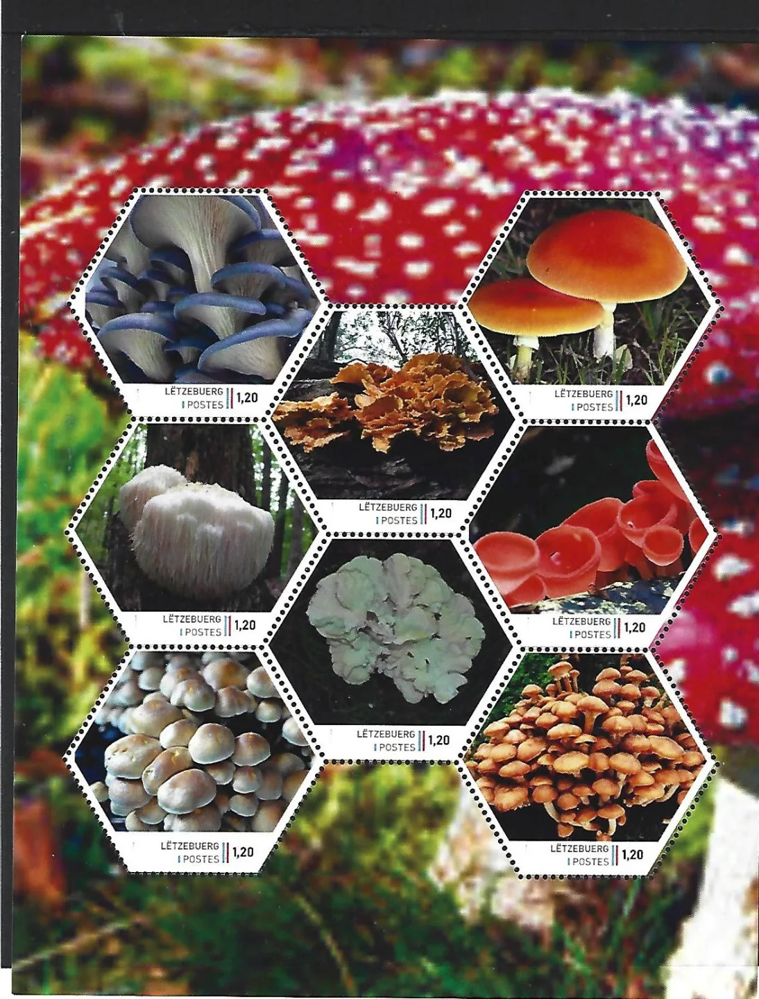 Luxembourg 2025-1 Champignons feuille