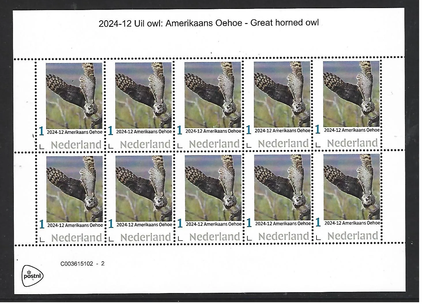 Pays-Bas 2024-12 Hibou Owl: Great horned owl feuillet neuf/mnh
