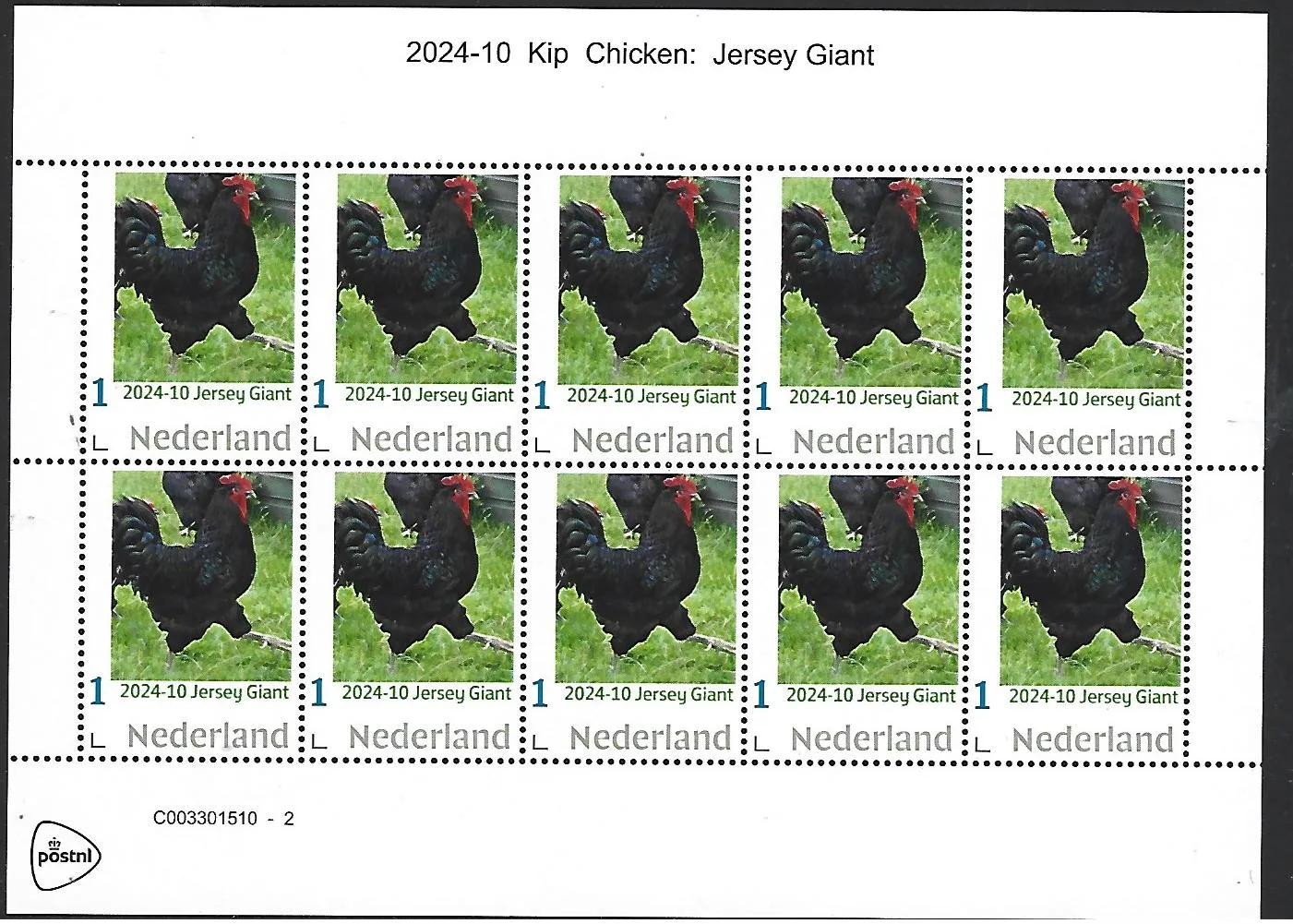 Niederlande 2024-10 Huhn: Jersey Giant Blockformat postfrisch/mnh