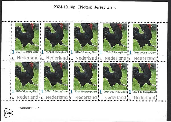Netherlands 2024-10 Chicken: Jersey Giant sheetlet MNH