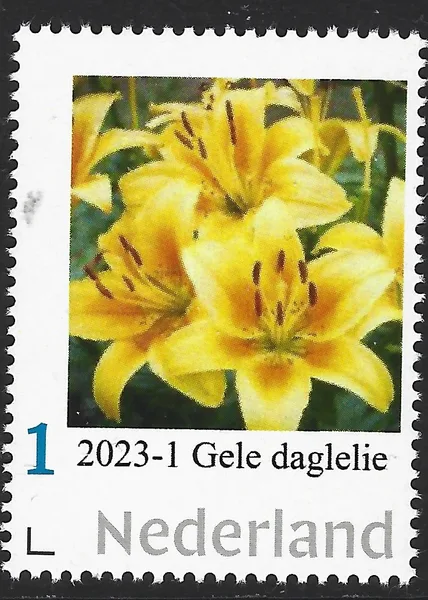 Netherlands 2023-1 Flowers: Yellow Day Lily MNH