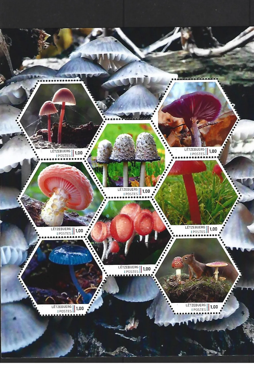 Luxembourg 2024-1 Champignons feuillet postfris/mnh