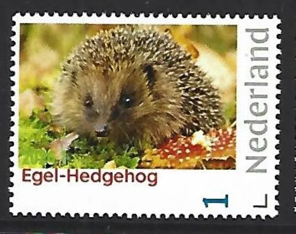 Netherlands 2026-1 Hedgehog: European animal of the year 2026 MNH