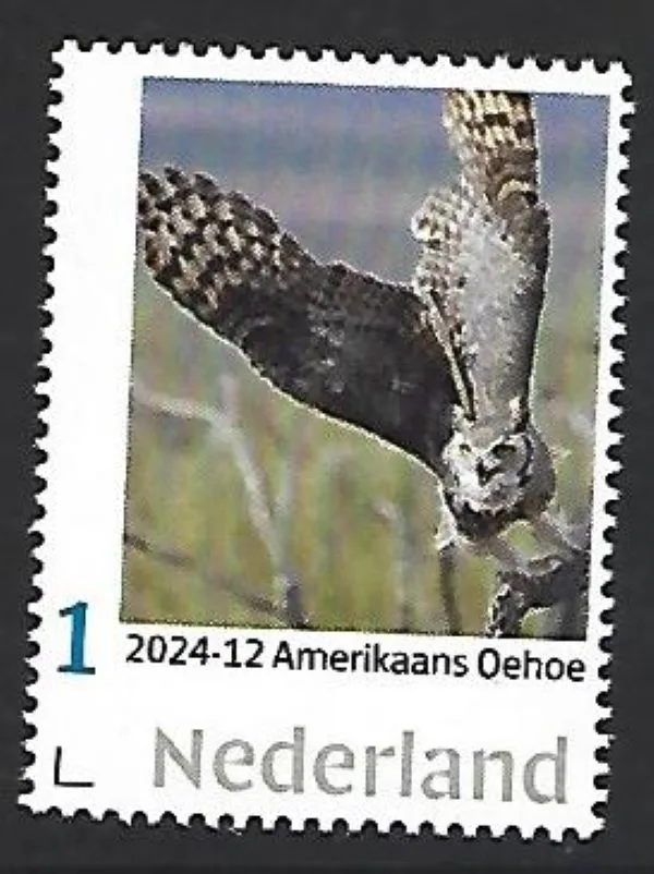 Niederlande 2024-12 Eule: Uhu postfrisch/mnh