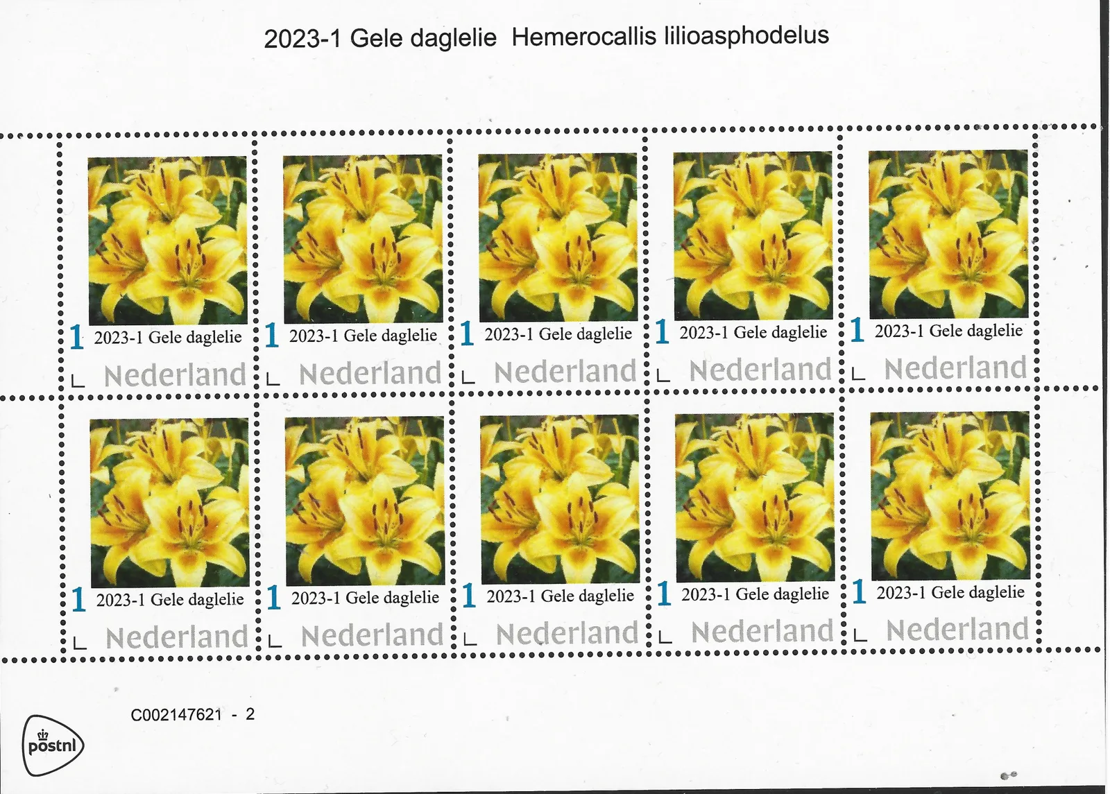 Pays-Bas 2023-1 Fleurs : Lis jaune de jour vel-sheetlet neuf/mnh