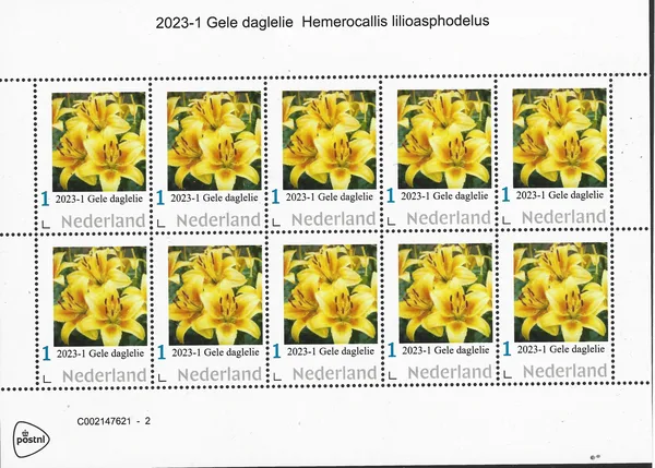 Netherlands 2023-1 Flowers: Yellow daylily sheet MNH