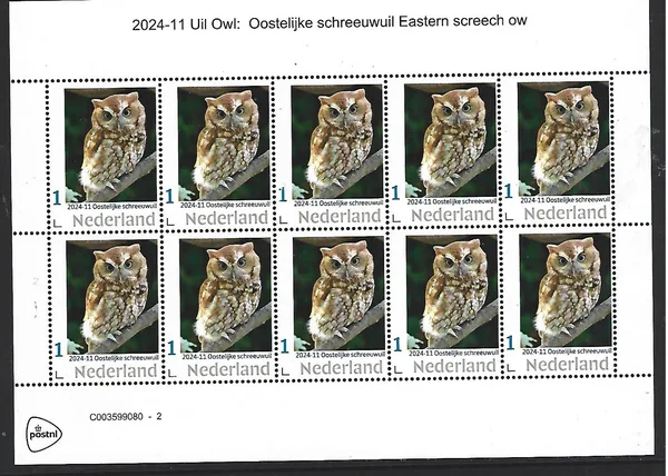 Netherlands 2024-11 Owls: Eastern screech owl sheetlet MNH