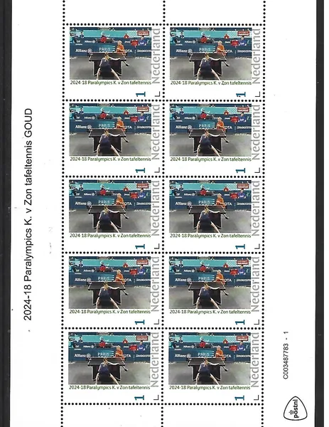 Netherlands 2024-18 Paralympics K.v. Zon table tennis sheetlet MNH