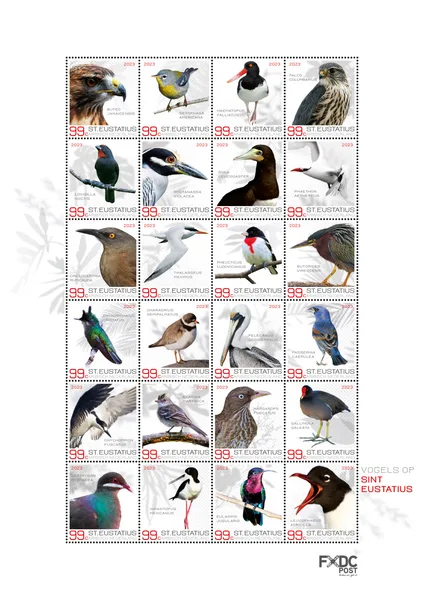 St Eustatius 2023 Birds vel-sheetlet MNH