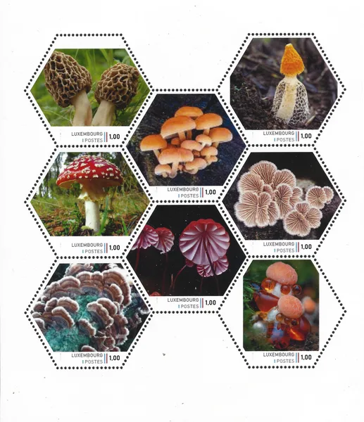 Luxembourg 2023 Mushrooms 1 sheetlet MNH