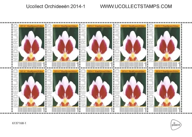 Pays-Bas 2014 Ucollect Orchidées 1 Orchidée violette feuillet neuf/mnh