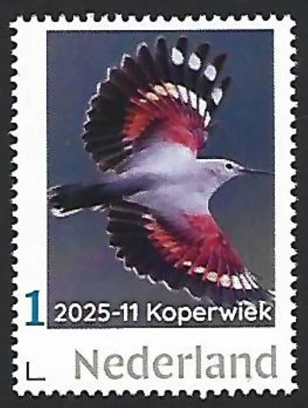 Netherlands 2025-11 Bird: Copper-wing Red-wing Walcreeper MNH