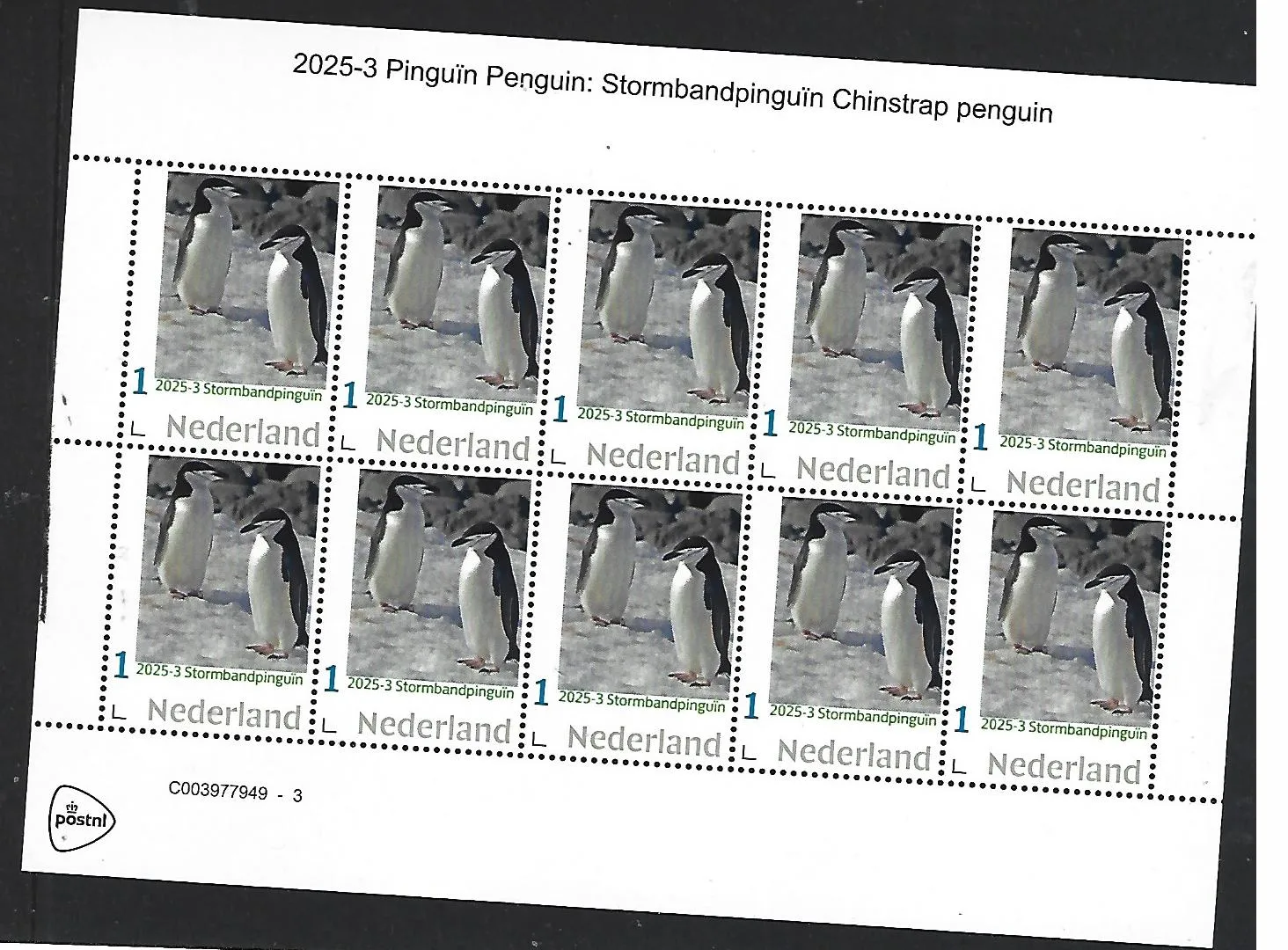 Netherlands 2025-3 Penguins: Chinstrap penguin sheetlet MNH