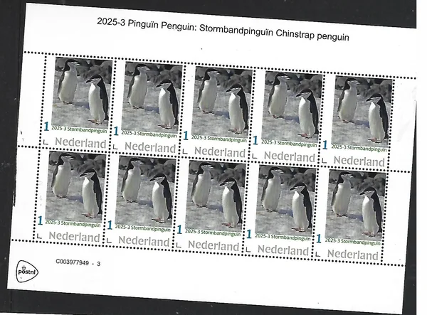 Netherlands 2025-3 Penguins: Chinstrap penguin sheetlet MNH