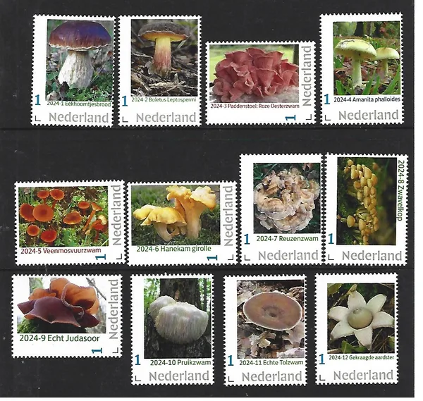 Netherlands 2024 Mushrooms Yearset complete MNH