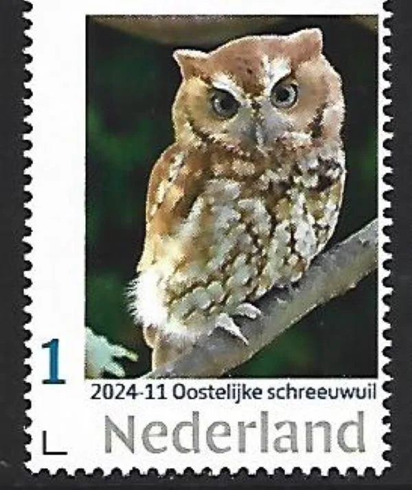 Pays-Bas 2024-11 Hiboux Chouettes : Petit-duc maculé neuf/mnh