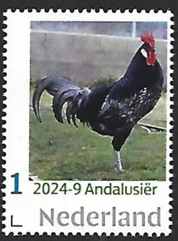 Niederlande 2023-9 Huhn Andalusian postfris/mnh