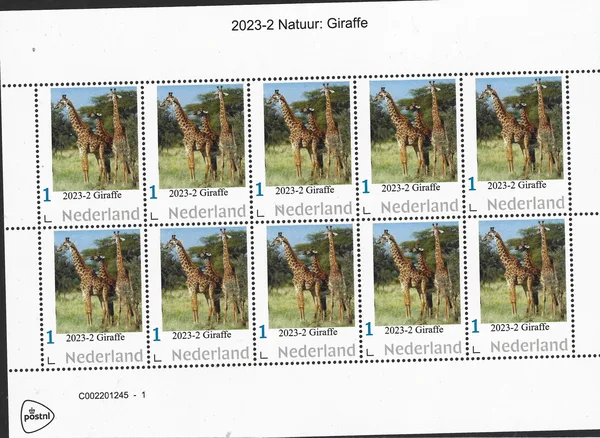 Netherlands 2023-2 Nature: Giraffe souvenir sheet MNH