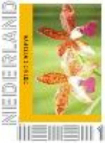 Netherlands 2014 Ucollect Orchids 2 Cattleya MNH