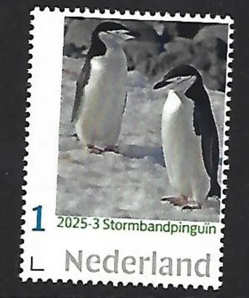 Netherlands 2025-3 Penguins: Chinstrap penguin MNH