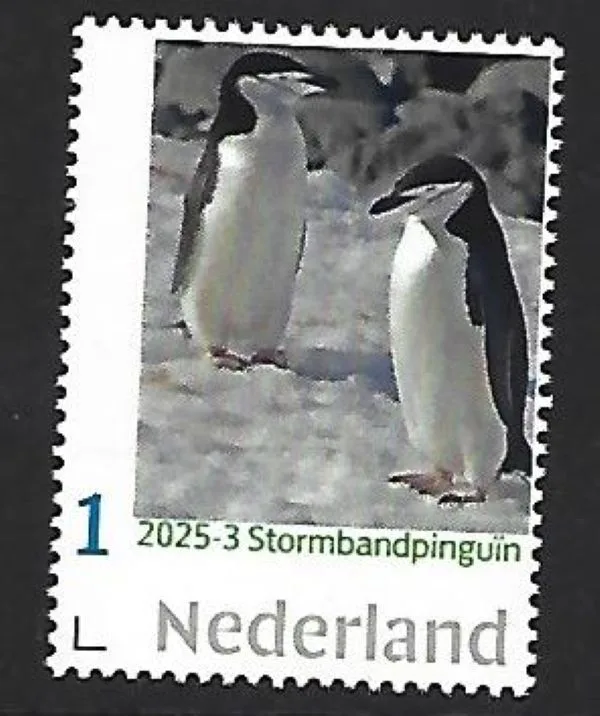 Nederland 2025-3 Pinguins Penguins: stormbandpinguin Chinstrap penguin postfris/mnh