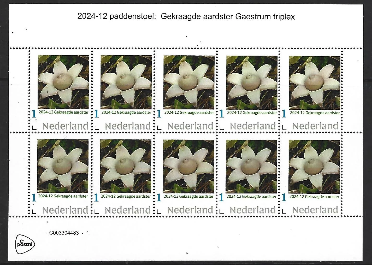 Niederlande 2024-12 Pilz Mushroom: Gekraagter Erdstern vel postfrisch/mnh