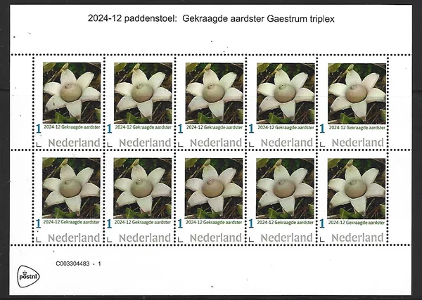 Nederland 2024-12 Paddenstoel Mushroom: Gekraagde aardster vel postfris/mnh