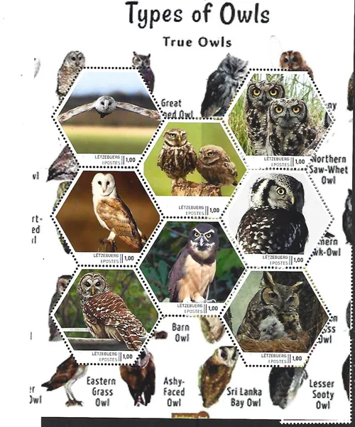 Luxemburg 2024-2 Uil Owl: European owls sheetlet postfris/mnh
