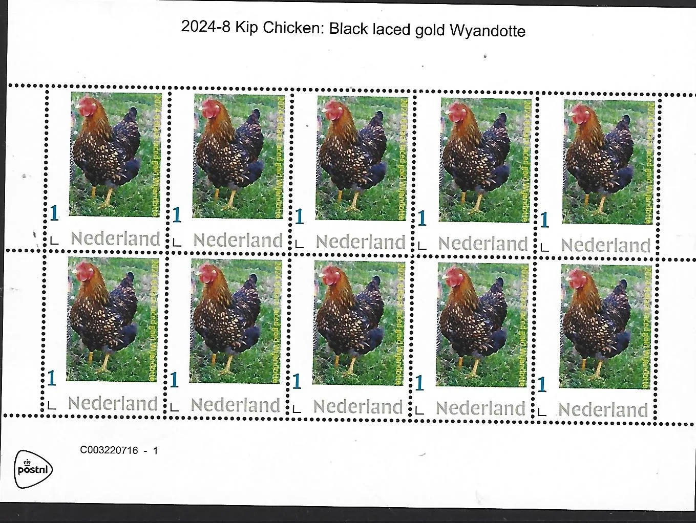 Nederland 2024-8 Kip Chicken: Black laced gold Wyandotte sheetlet postfris/mnh