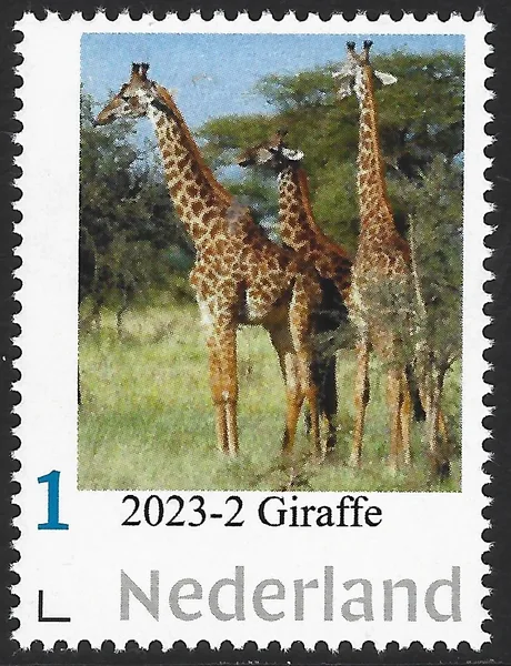 Netherlands 2023-2 Nature: Giraffe MNH
