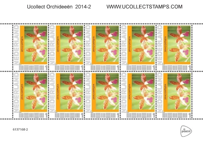 Pays-Bas 2014 Ucollect Orchidées 2 Cattleya feuillet neuf/mnh