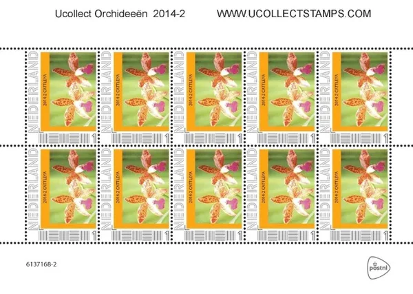 Netherlands 2014 Ucollect Orchids 2 Cattleya booklet MNH