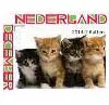 Netherlands 2014-2 Cats MNH