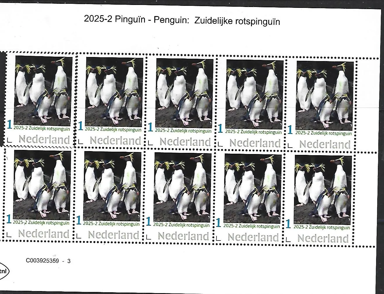 Netherlands 2025-2 Penguin: southern rock penguin sheet MNH
