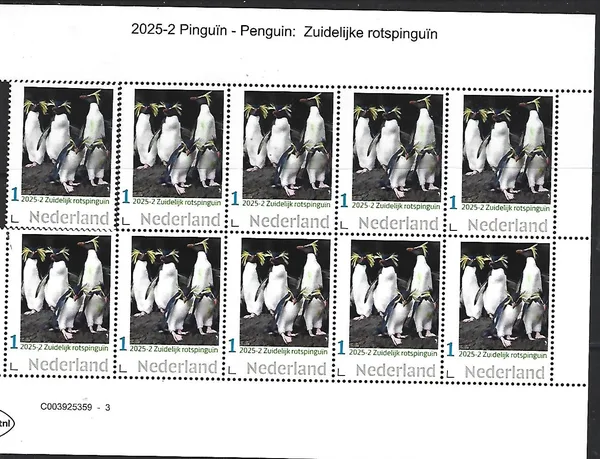 Netherlands 2025-2 Penguin: southern rock penguin sheet MNH