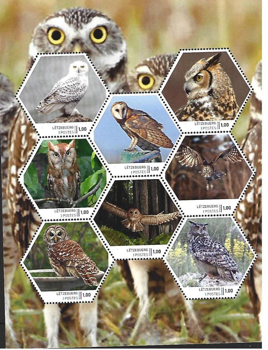 Luxembourg 2024-1 Chouette Hibou : feuillet de chouettes européennes postfris/mnh