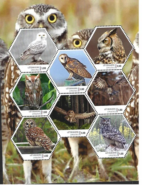 Luxemburg 2024-1 Uil Owl: European owls sheetlet postfris/mnh