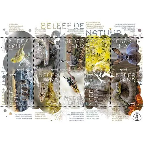 Niederlande 2021 Erlebe die Natur Dwingelerveld V3899-3908 postfrisch