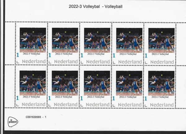 Netherlands 2022-3 Volleyball sheet MNH